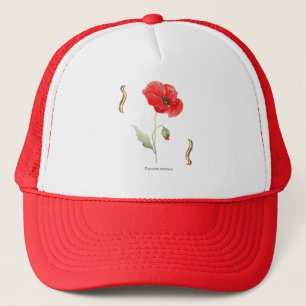 Papaver rhoeas truckerkappe