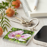 Papaver Somniferum Pink Poppy Art