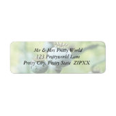 Papaver Somniferum Seed Heads (Vorne)