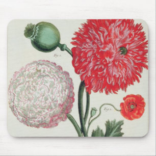 Papaver-Somniferum und Papaver rheas graviert Mousepad