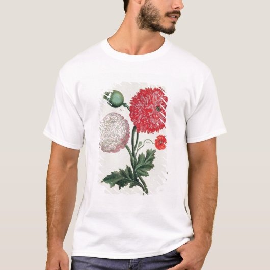 Papaver-Somniferum und Papaver rheas graviert T-Shirt (Vorderseite)