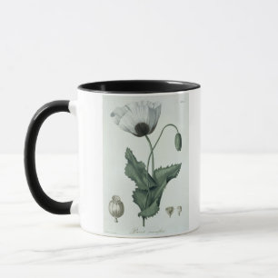 Papaver-Somniferum von "Phytographie Medicale" Tasse