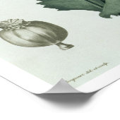 Papaver Somniferum von "Phytographie Medicale" von Poster (Ecke)
