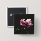 Papaver Sugarplum Button (Vorne & Hinten)