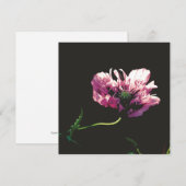 Papaver Sugarplum Card (Vorne/Hinten)
