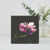 Papaver Sugarplum Card (Stehend Vorderseite)