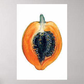 PAPAYA botanischer Fruchtorange Poster