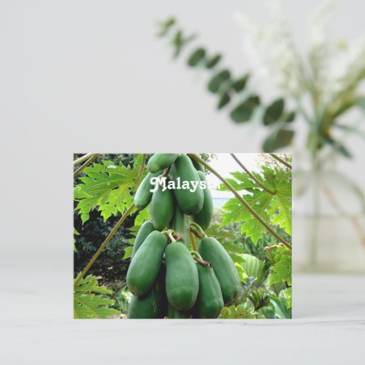 Papaya Postkarte (Stehend Vorderseite)