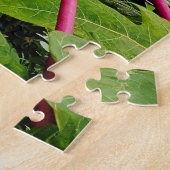 Papaya Tree Puzzle (Seite)