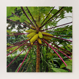Papaya Tree Puzzle