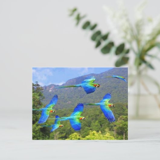 Papegaai Postkarte (Stehend Vorderseite)