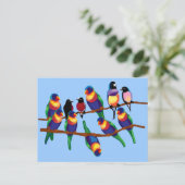 Papeln und Finken Postkarte (Stehend Vorderseite)