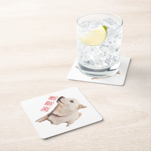 paper coaster of dog untersetzer (Vor Ort)