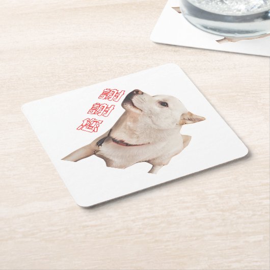 paper coaster of dog untersetzer (angewinkelt)