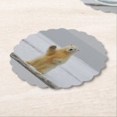 Paper Coaster Untersetzer (angewinkelt)