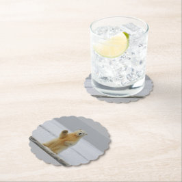 Paper Coaster Untersetzer