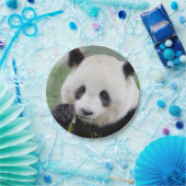 Paper Flugzeug Foto Riesenpanda 0309. Pappteller (Party)