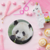 Paper Flugzeug Foto Riesenpanda 0309. Pappteller (Party)