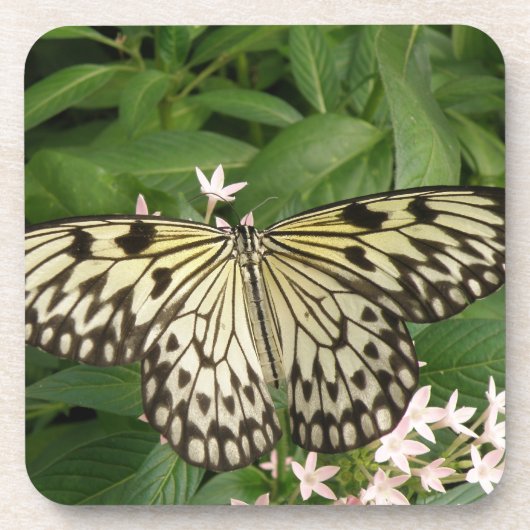 Paper Kite Butterfly Cork Untersetzer (Vorderseite)