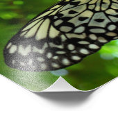 Paper Kite Butterfly Fotodruck (Ecke)