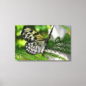 Paper Kite Butterfly Leinwanddruck (Vorderseite)