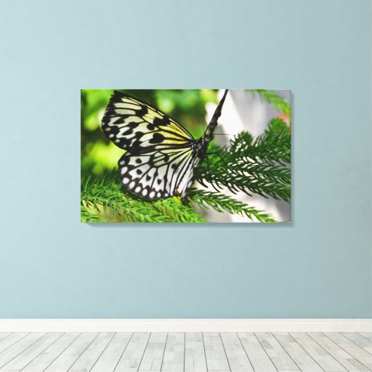 Paper Kite Butterfly Leinwanddruck (Insitu (Holzboden))