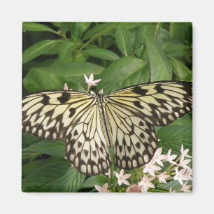 Paper Kite Butterfly Magnet