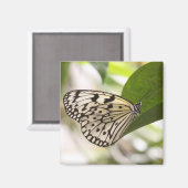 Paper Kite Butterfly Magnet (Vorderseite/Rückseite)