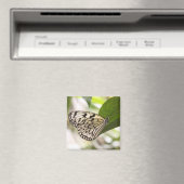 Paper Kite Butterfly Magnet (In Situ (Geschirrspüler))