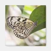 Paper Kite Butterfly Magnet (Vorne)