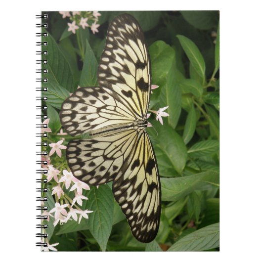 Paper Kite Butterfly-Notebook Notizblock (Vorderseite)