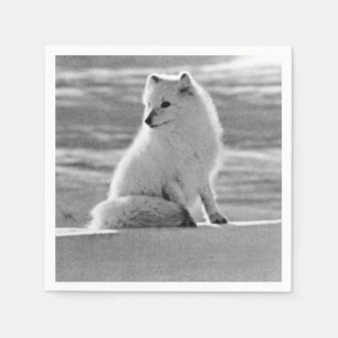 Paper Napkin Serviette