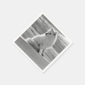 Paper Napkin Serviette (Ecke)