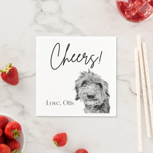 Paper Napkin Serviette (Beispiel)