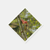 Paper Napkins, Küssen Kardinäle. Serviette (Ecke)