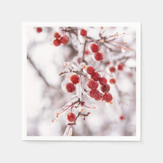 Paper Napkins Serviette (Vorderseite)