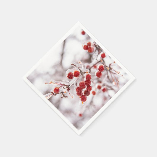 Paper Napkins Serviette (Ecke)