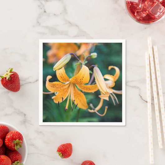 Paper Napkins Serviette (Beispiel)