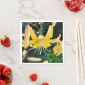 Paper Napkins Serviette (Beispiel)