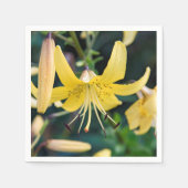 Paper Napkins Serviette (Vorderseite)