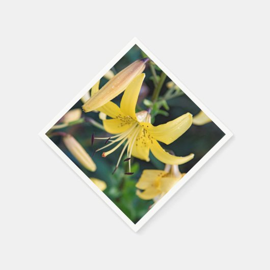 Paper Napkins Serviette (Ecke)