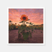 Paper Napkins Serviette (Vorderseite)