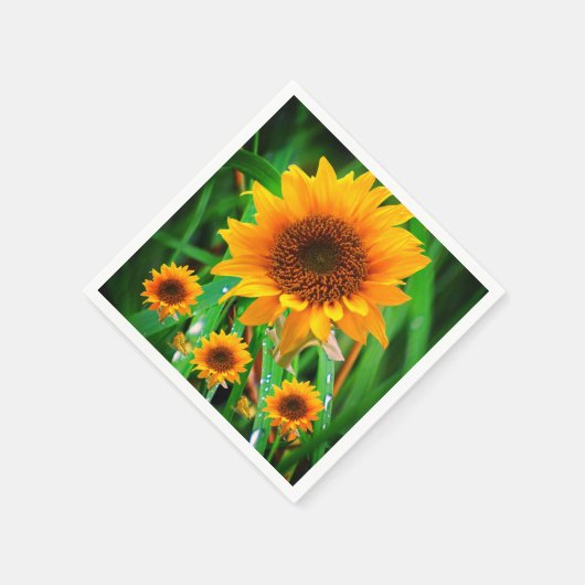 Paper Napkins Serviette (Ecke)