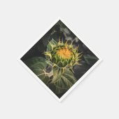 Paper Napkins Serviette (Ecke)