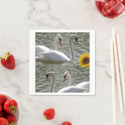 Paper Napkins Serviette (Beispiel)