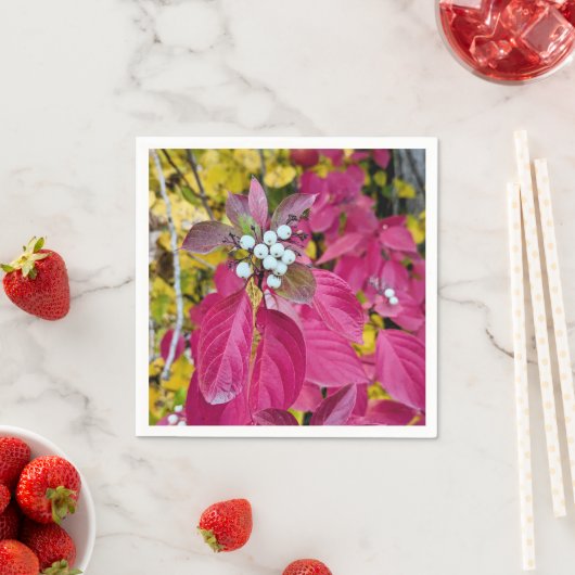 Paper Napkins Serviette (Beispiel)