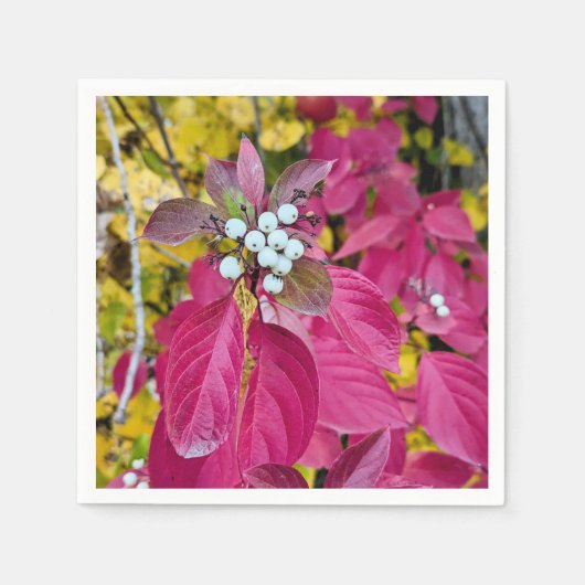 Paper Napkins Serviette (Vorderseite)