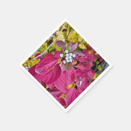 Paper Napkins Serviette (Ecke)