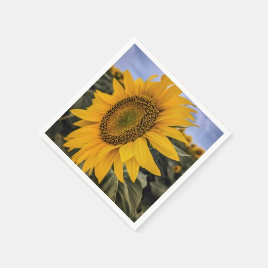 Paper Napkins Serviette (Ecke)