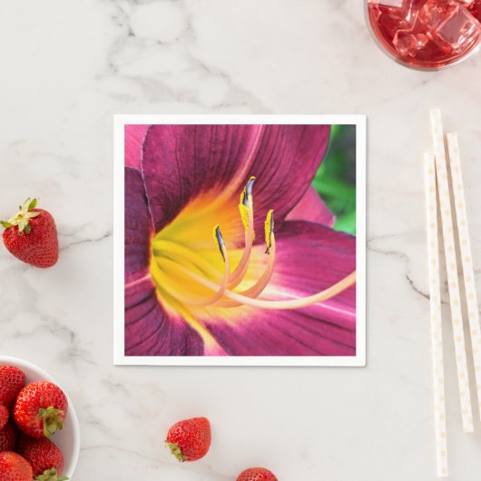 Paper Napkins Serviette (Beispiel)